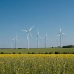 Les énergies renouvelables : un pilier pour l'avenir énergétique de la France